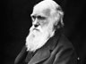 Charles Darwin Biography Video