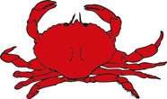 Fun Crab Facts For Kids Interesting Information About Crabs