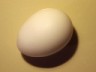 Chicken egg