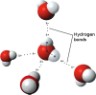 hydrogen bonds