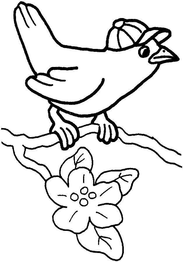 Download Cute Bird Coloring Page for Kids - Free Printable Picture