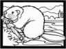 beaver coloring page for kids