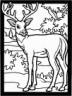 deer coloring page for kids