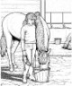 horse coloring page for kids