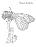 monarch butterfly coloring page for kids