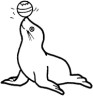 seal coloring page for kids