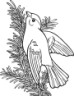 willow gold finch coloring page for kids