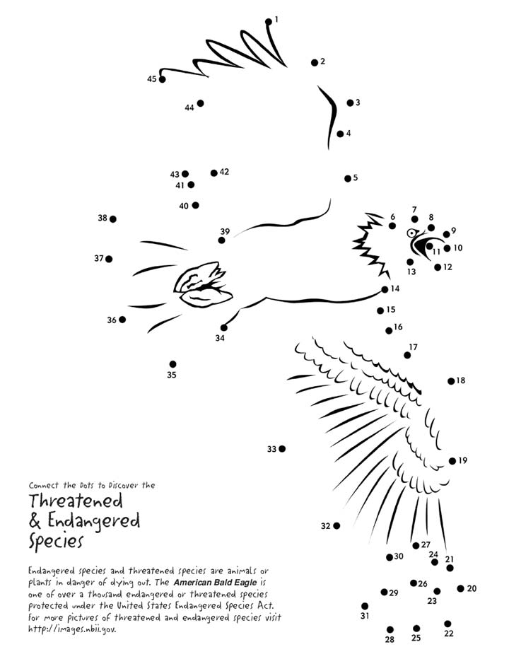 Help this eagle spread its wings and soar through the air, connect the dots and complete the picture.