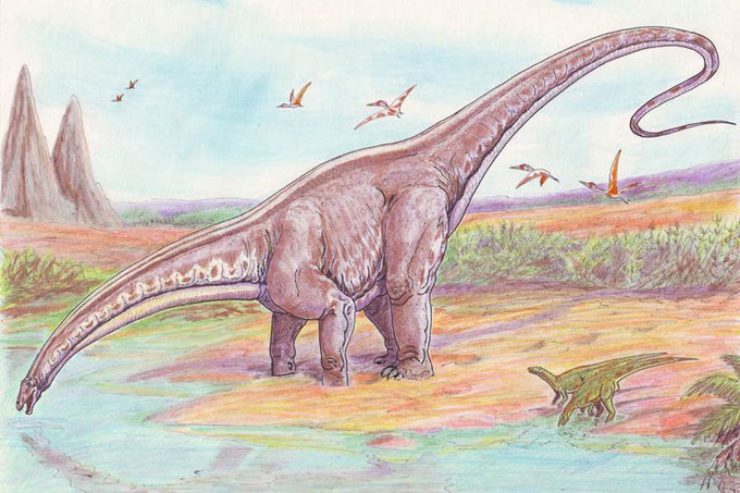 This sketch shows what an Apatosaurus (also known a Brontosaurus) might have looked like living in its environment during the Jurassic Period, around 150 million years ago. The illustration shows the Apatosaurus and two smaller dinosaurs drinking water.