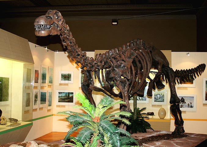 This picture shows the skeleton of a Sauropod dinosaur called Epachthosaurus. Epachthosaurus lived in South America in the late Cretaceous Period. The photo was taken in the National Museum, Prague, Czech Republic.