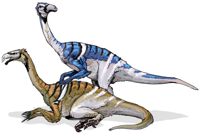 This drawing shows the possible appearance of Nanshiungosaurus, a dinosaur from the late Cretaceous Period. The incomplete fossil remains of two Nanshiungosaurus species were found in China but they were limited finds so not much is known about this dinosaur as of yet.