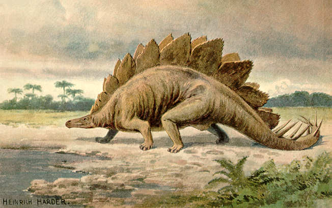 Stegosaurus Drawing by Heinrich Harder