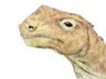 Abrosaurus picture