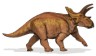 Anchiceratops picture