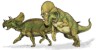 Avaceratops picture