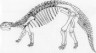 Ankylosaurus skeleton