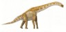 Brachiosaurus drawing
