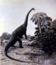 Diplodocus feeding picture