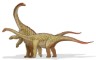 Saltasaurus picture