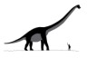 Sauroposeidon size picture