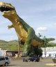 Picture of a Big Tyrannosaurus Rex Model