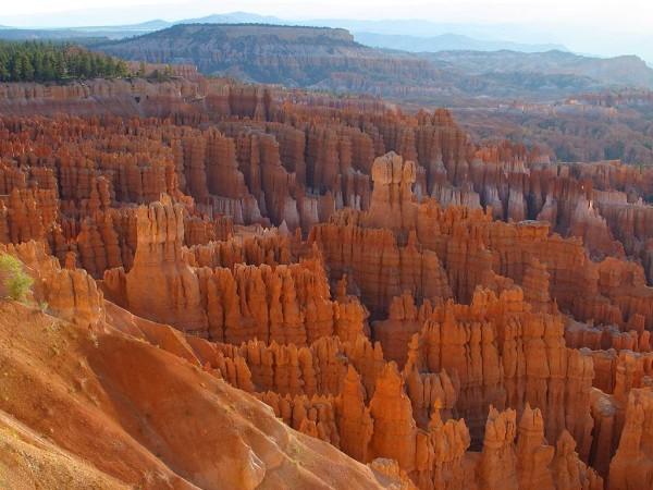 A photo looking out over an expansive canyon that stretches far into the distance. The canyon features unique rock formations and rich colors.