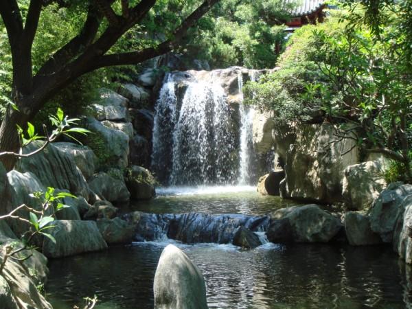 A beautiful waterfall set amongst the trees. Large rocks border the water as it crashes over the edge and into the pool below. The waterfall as bathed in sunshine, further enhancing the tropical image.