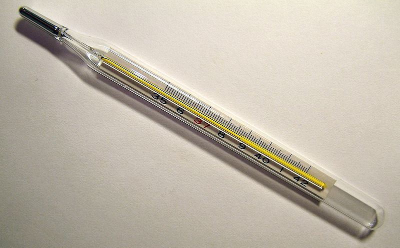 A photo looking down over a clinical thermometer that is typically used in a variety of medical, scientific and experimental situations.