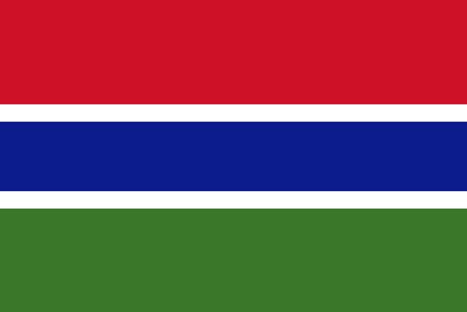 Flag of The Gambia 