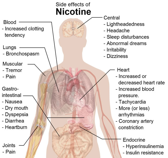 This diagram lists a number of nicotine side effects. They include increased blood pressure, muscular pain, nausea, headaches and more.