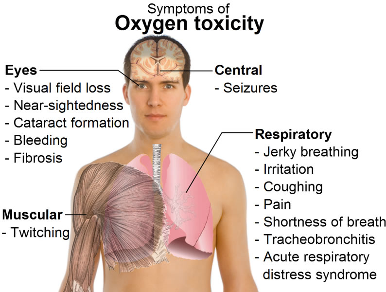 This diagram shows a range of symptoms related to oxygen toxicity. These symptoms can affect the eyes, muscles and respiratory system with conditions such as coughing, twitching, shortness of breath and near sightedness.