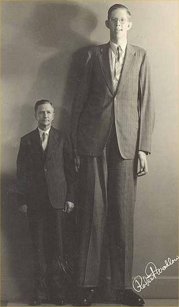 This photo shows Robert Wadlow, the tallest man in the history of the world, standing next to his father. The amazing comparison helps show just how tall Robert Wadlow truly was. Born in 1918, he reached an incredible height of 2.78 metres (8ft 11in), taller than any other human on record.
