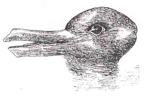 This famous illusion appears to be both a duck and a rabbit depending on how you look at it. Can you see both?