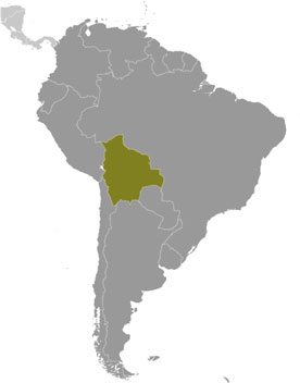 Bolivia location