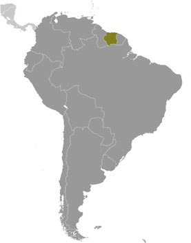 Suriname location