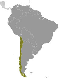 Map of Chile