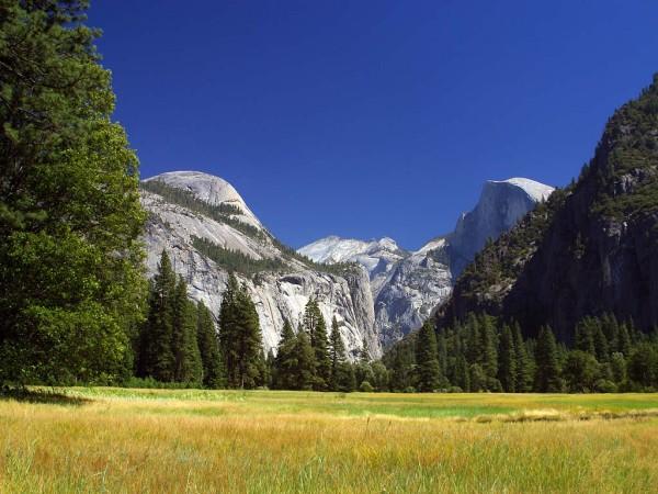 This picture was taken in Yosemite National Park. Found in California, USA, Yosemite National Park became a World Heritage Site in 1984.