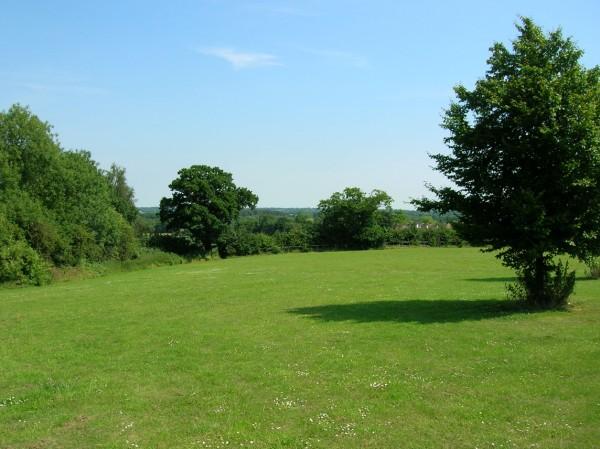 This photo shows a field of lush looking green grass. Bordered by a few large trees, this grass looks like a perfect place to walk your dog, take the family for a picnic or play a game of frisbee.