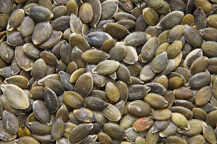 This close up photo shows a large number of pumpkin seeds.