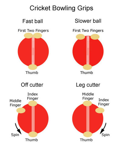 This diagram shows four different grips used by a seam bowler in the sport of cricket. The different deliveries include a fast ball, slower ball, off cutter and leg cutter, all achieved by holding the cricket ball with slightly different finger placements.