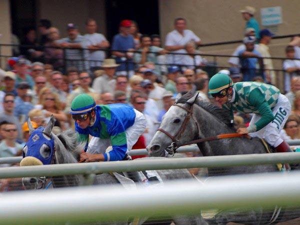 Two jockeys can be seen riding their horses beyond the railings as they try to win a horse racing event.
