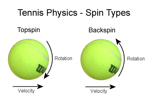 This image describes some of the physics involved when using a tennis racquet to hit a tennis ball with either topspin or backspin. The diagram shows the rotation and velocity for both the topspin and backspin shots.