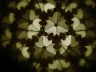 Make a kaleidoscope