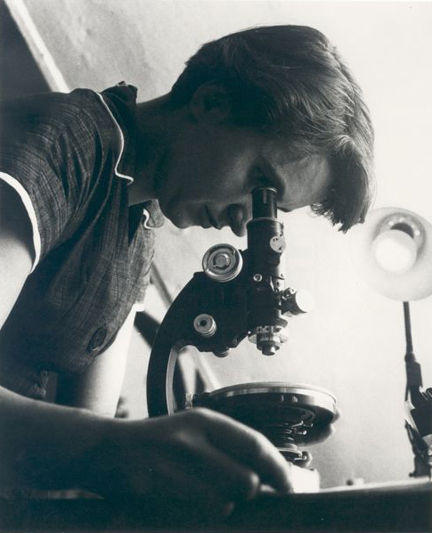 A black and white photo of Rosalind Franklin using a microscope, taken in 1955.