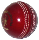 Facts and information about cricket
