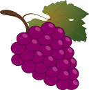 Grape Facts - Calories, Sugar, Vitamins, Uses, Vines, Nutritional Information