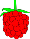 Raspberry Facts - Calories, Sugar, Vitamins, Uses, Plants, Nutritional Information
