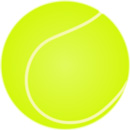 Facts and information about tennis